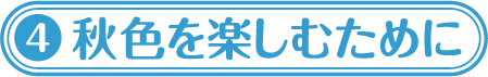 秋色を楽しむために