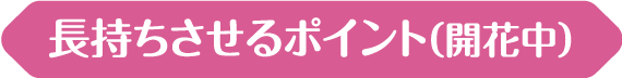 長持ちさせるポイント（開花中）