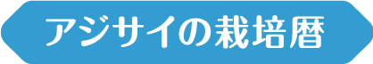 アジサイの栽培暦